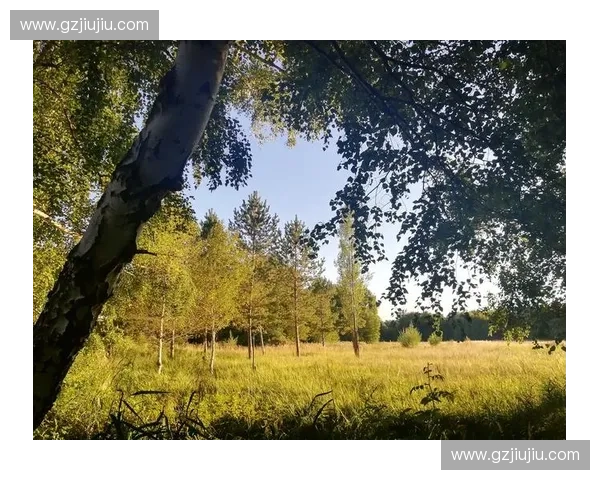 英雄联盟五壮士浴火重生书写青春与荣耀并肩作战的传奇故事